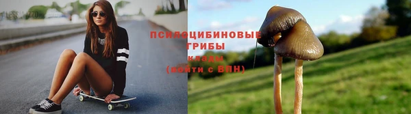 альфа пвп Гусев