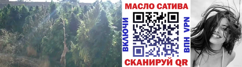 Купить  Кинешма  Дистиллят ТГК THC oil 