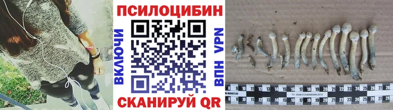 Галлюциногенные грибы прущие грибы  Купить  Кинешма 